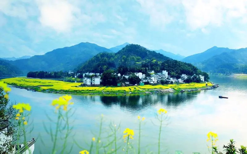 创新高效科技